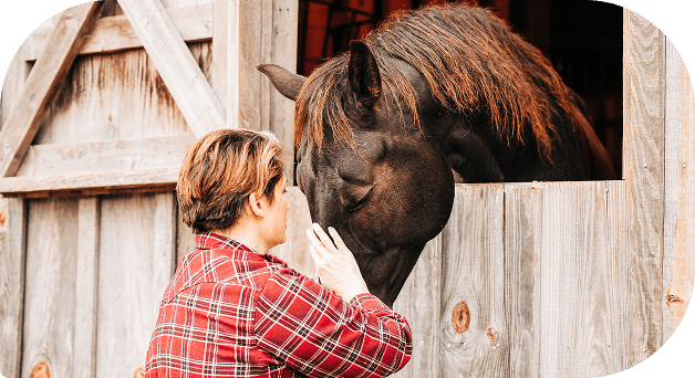Volunteers meeting a horse at Red Clay Ranch